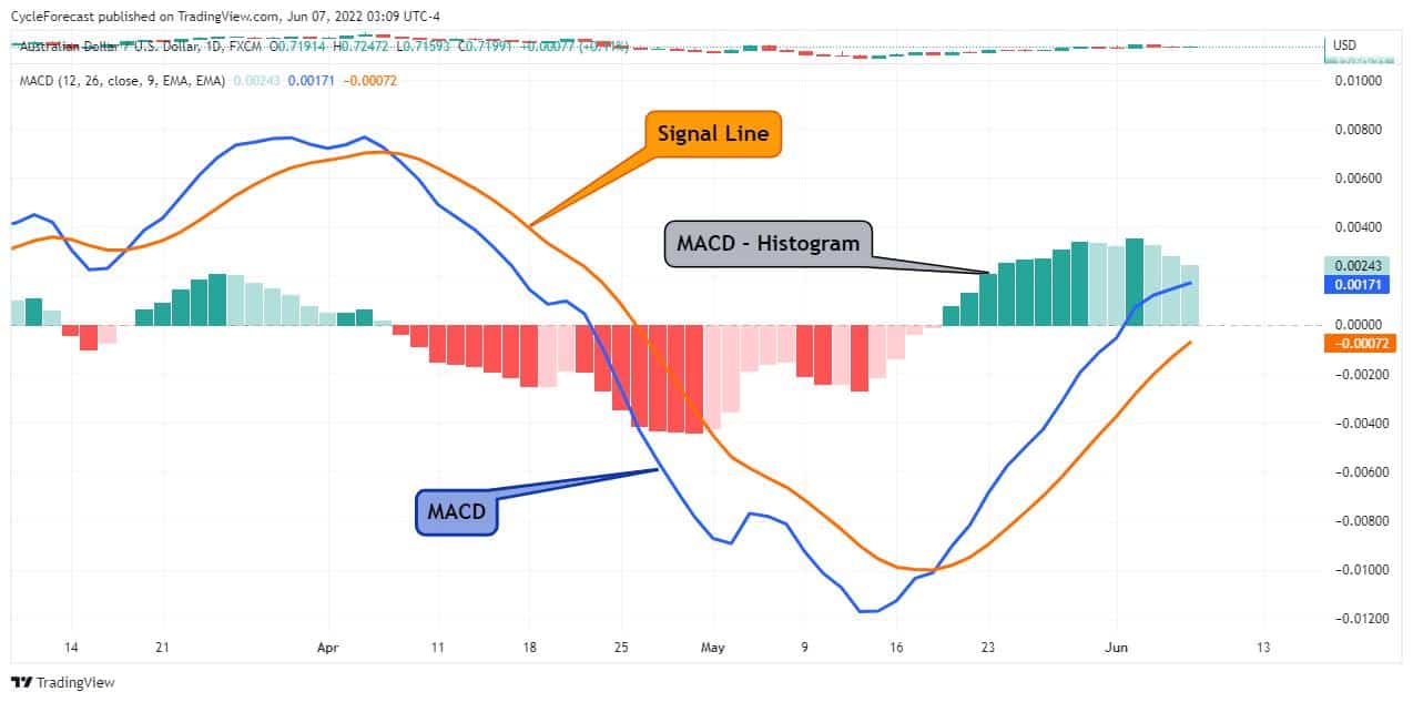 MACD Indicator Explained | What Is The MACD Indicator?