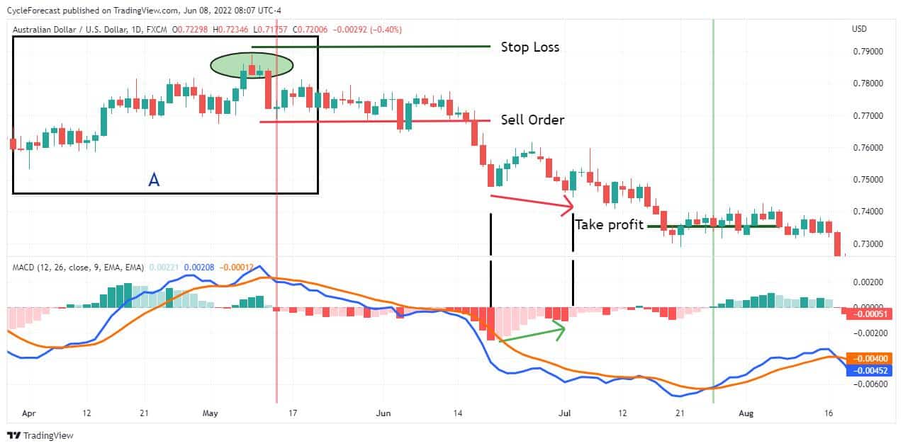 MACD Indicator Explained | What Is The MACD Indicator?